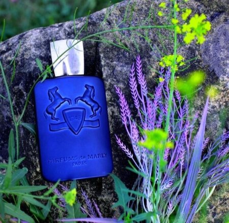 Layton Parfums de Marly للجنسين