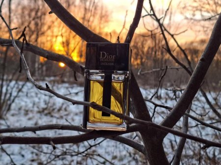Dior Homme Intense 2011 Dior للرجال